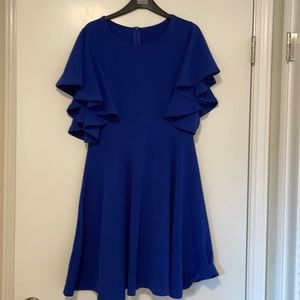 Gorgeous royal blue dress